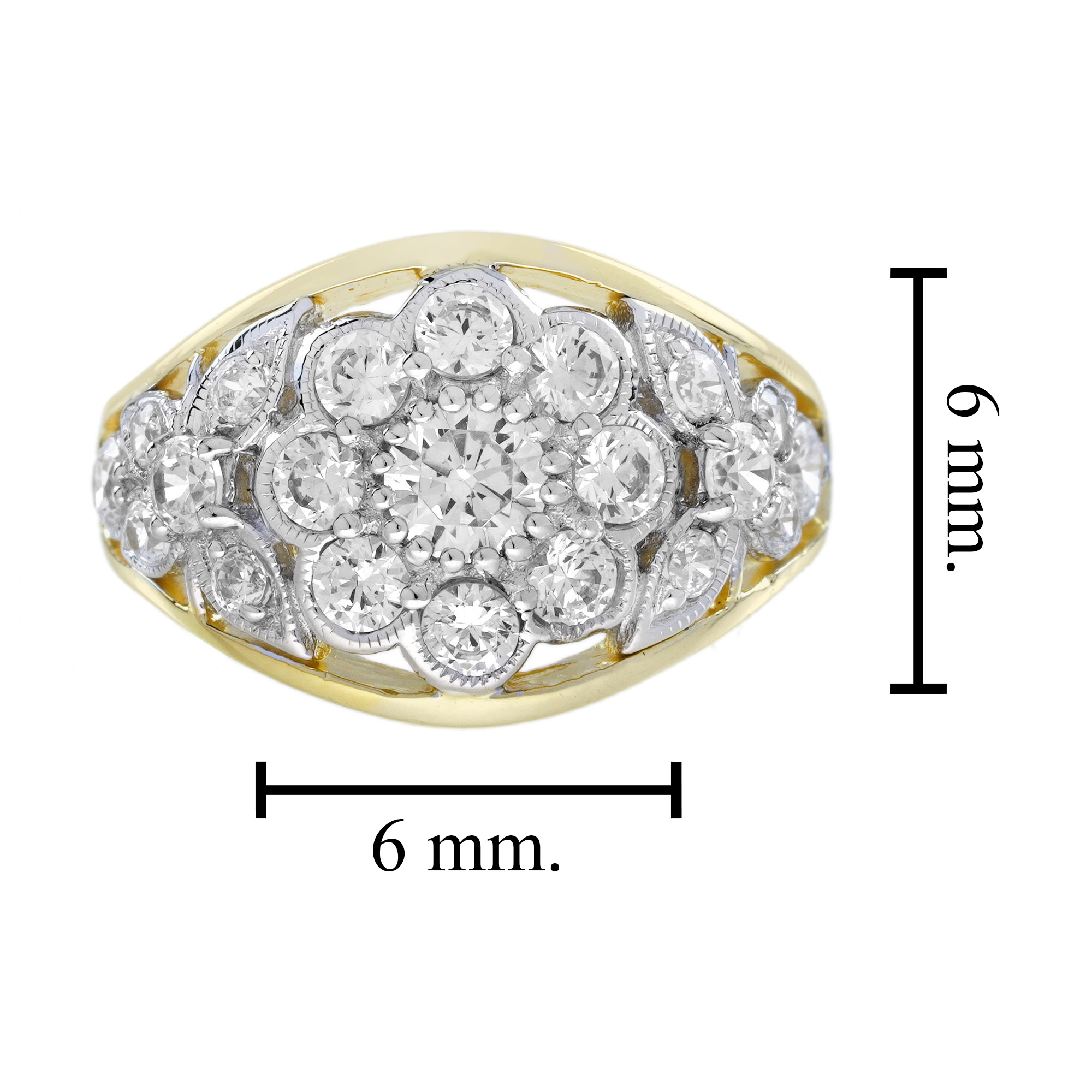 R1096-K CZ (SL) 6