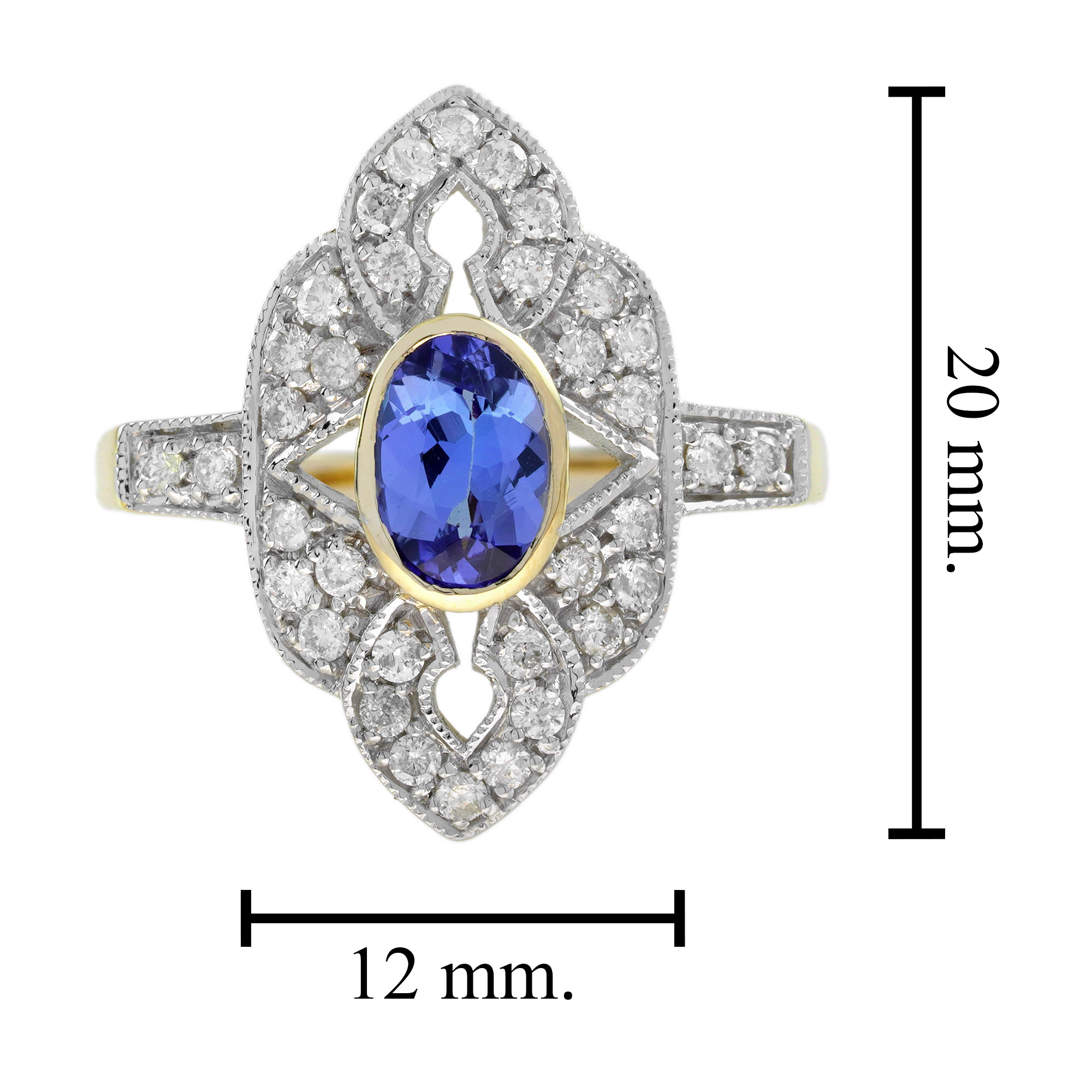 R0738 TZ-D2 6