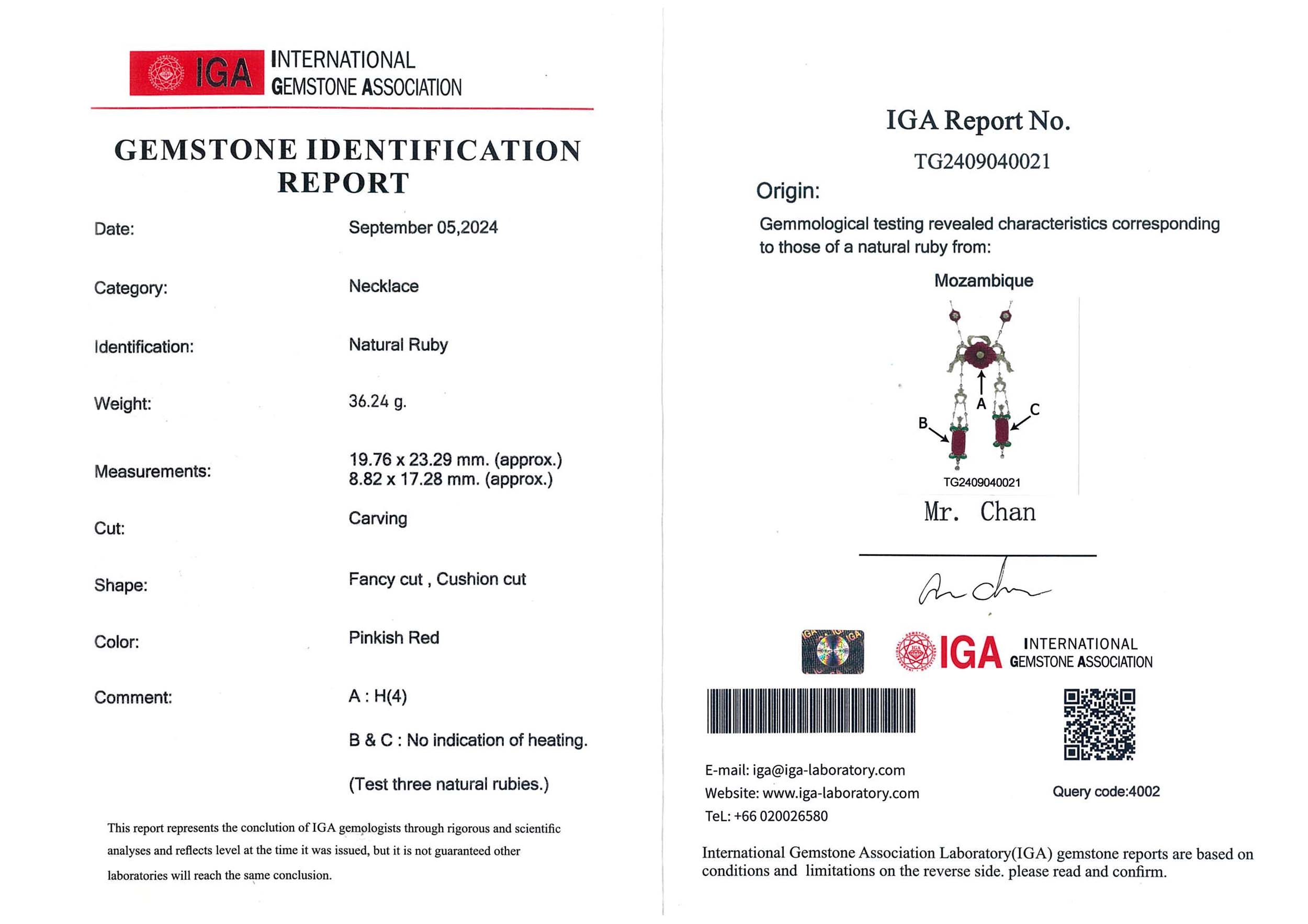 N1894 R_CV-E9-D2 (IGA)