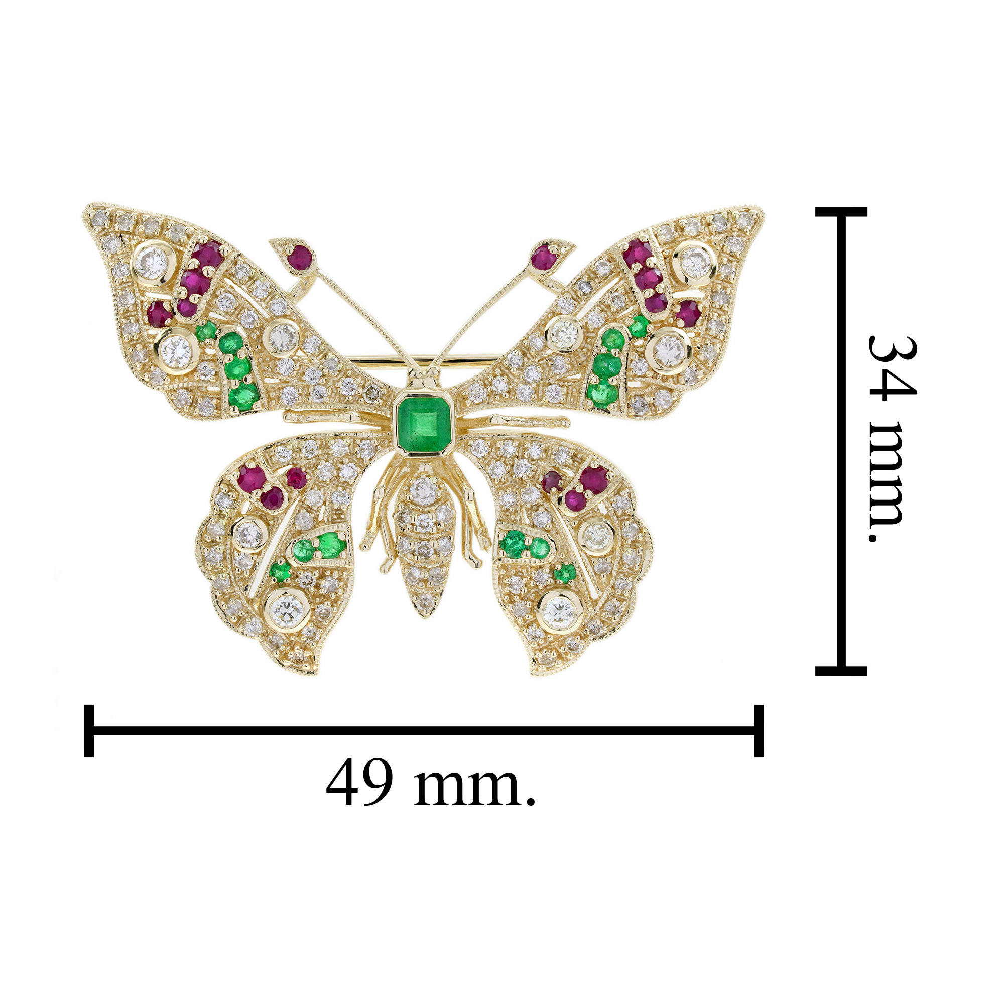 C0021 E-R-TTLB P239-25 5