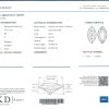 R5613 D5-S9 (HKD)