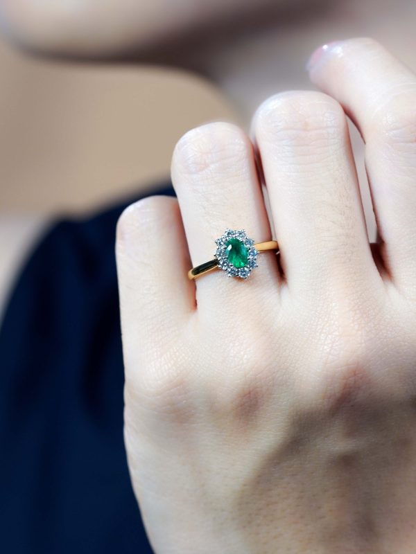 R5531 E_LP-D5 L2509OB 01