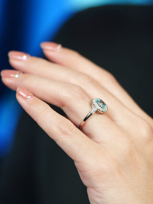 R4005 BT1-D2 L2512OB 02