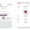 R5835 (GFCO) R5835 GFCO
